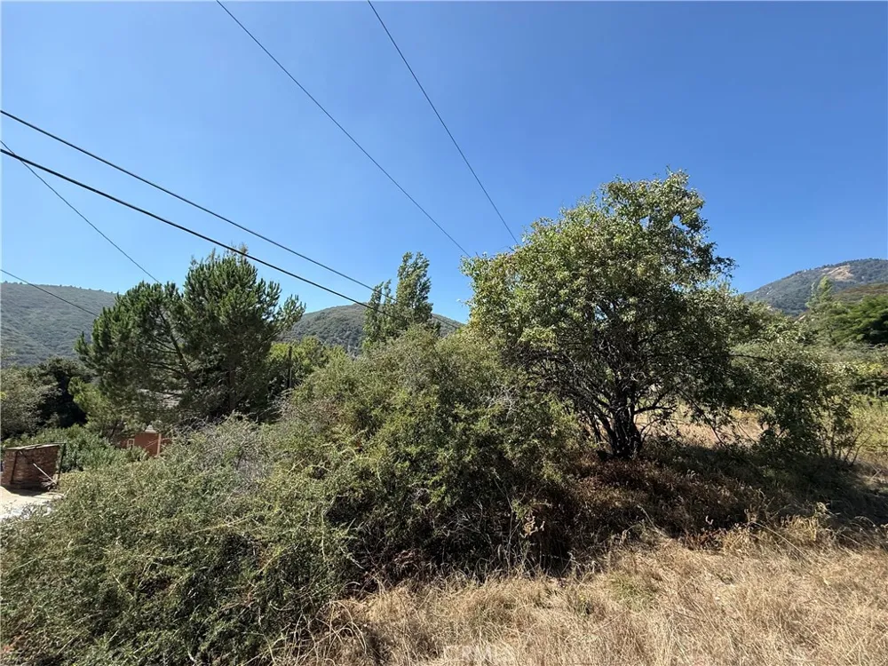 23680 Hillview Road San Bernardino, CA 92404