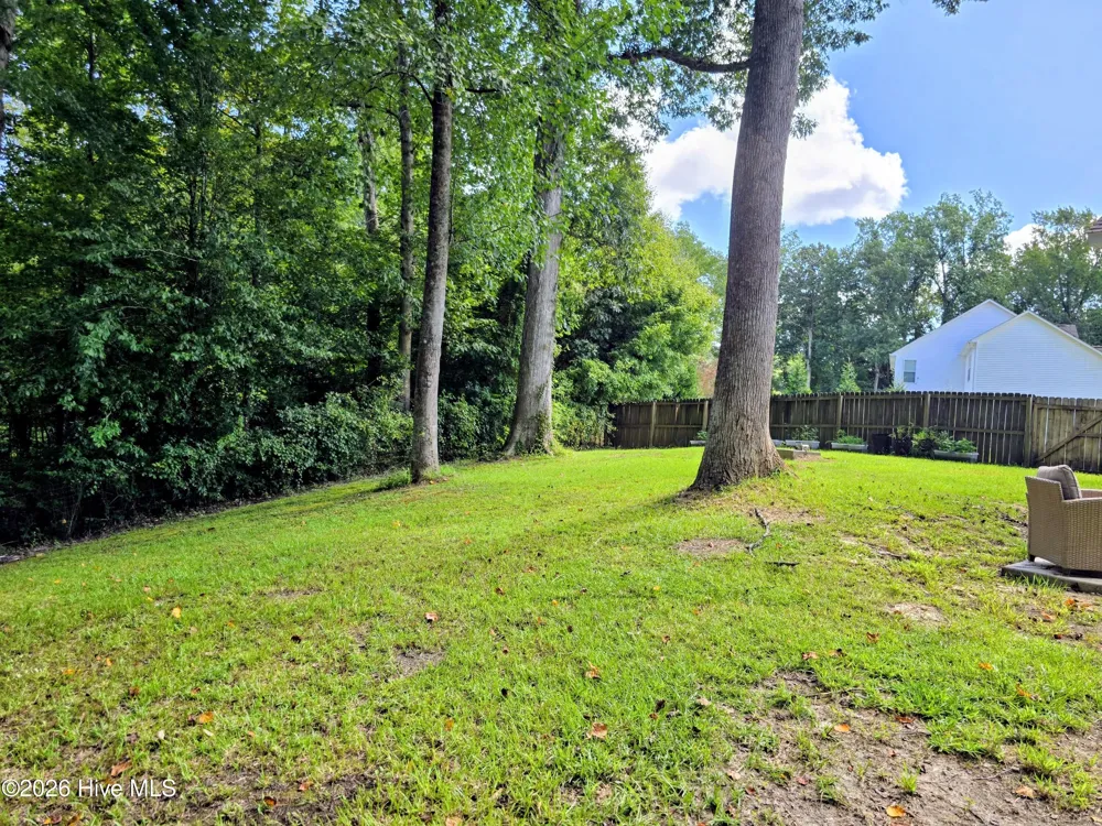 167 Louie Lane Jacksonville, NC 28540