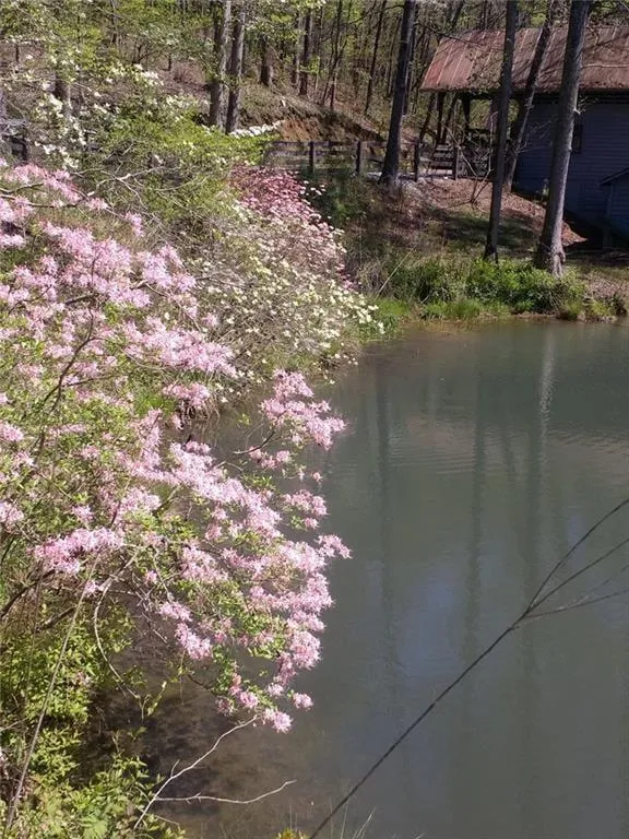 25 Clayton Chester Road Dawsonville, GA 30534