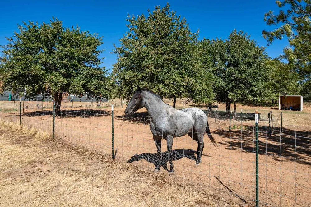 8115 County Road 358 Anson, TX 79501