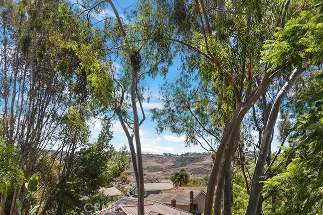 55 Fleurance Laguna Niguel, CA 92677
