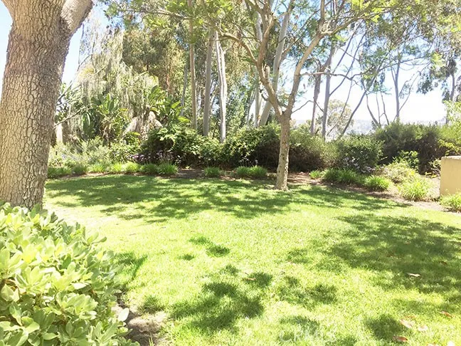 55 Fleurance Laguna Niguel, CA 92677
