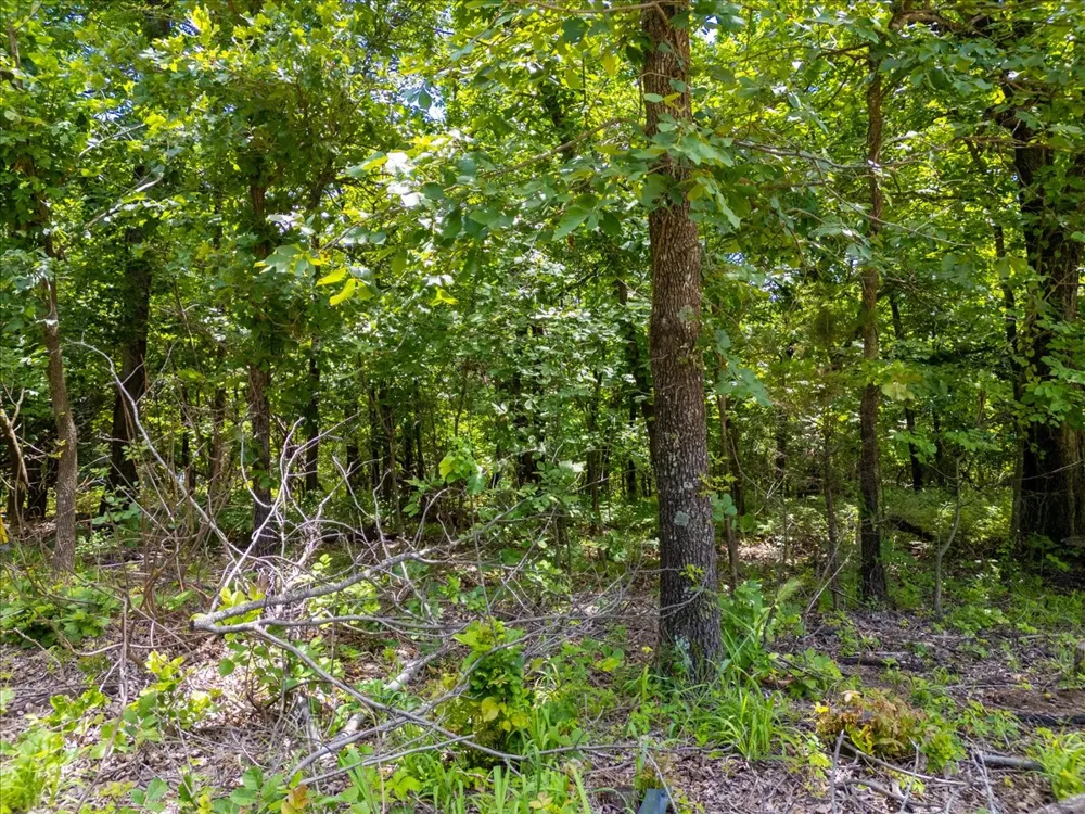 15255 W Overlook Drive W Sand Springs, OK 74063