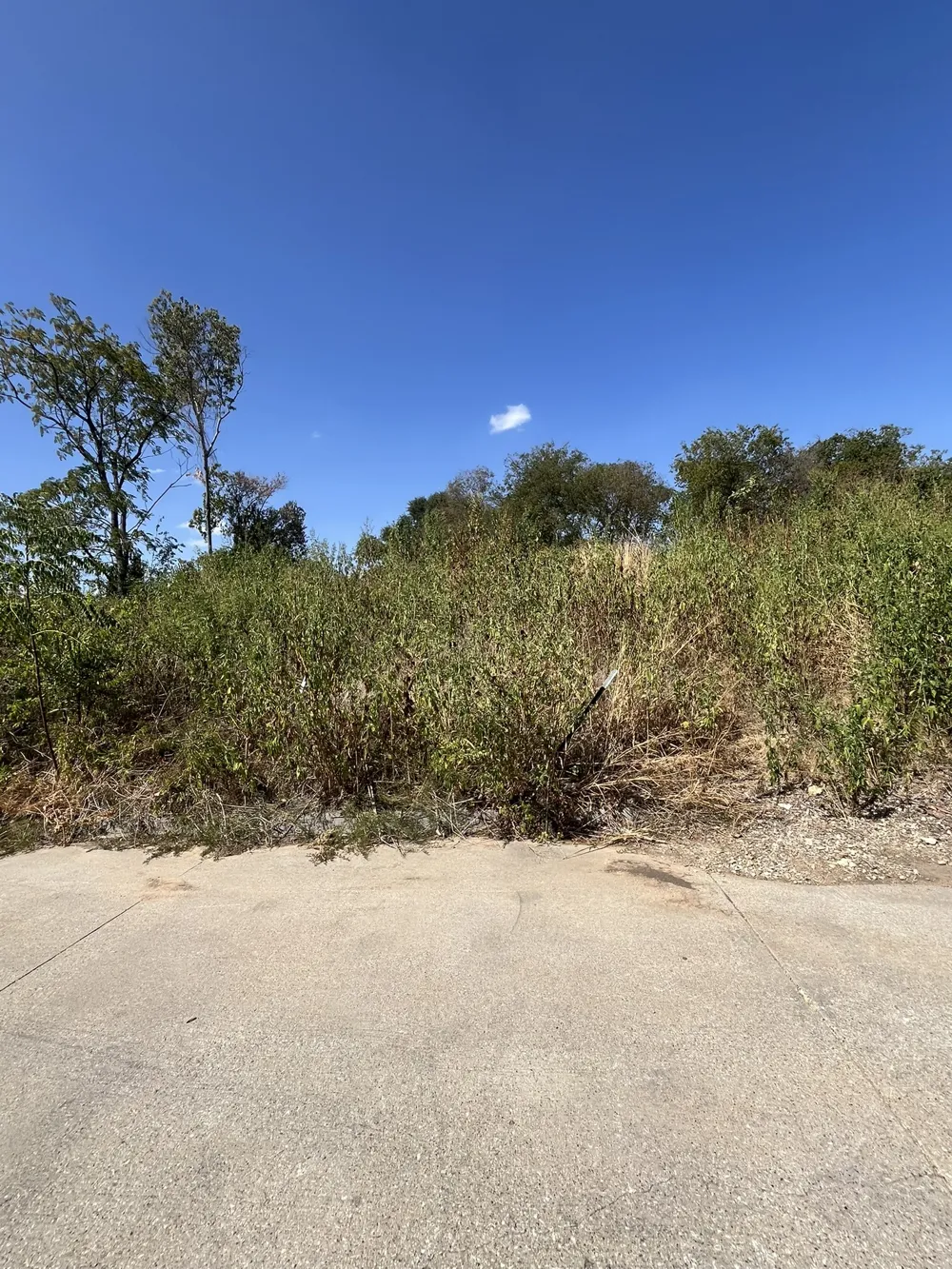 5032 Blackmore Avenue Fort Worth, TX 76107
