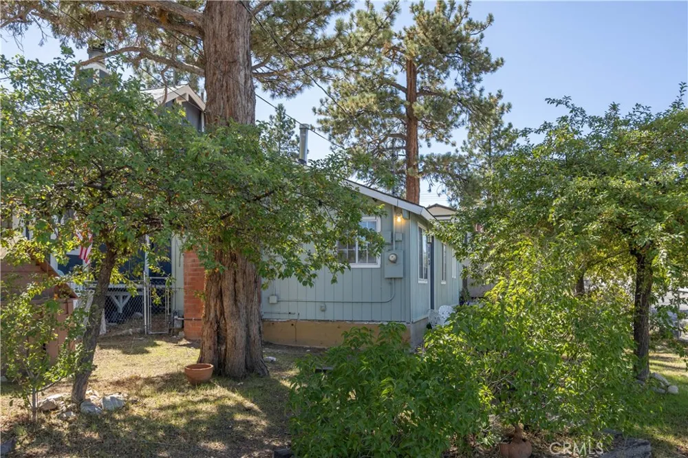 108 Cedar Lane Sugarloaf, CA 92386