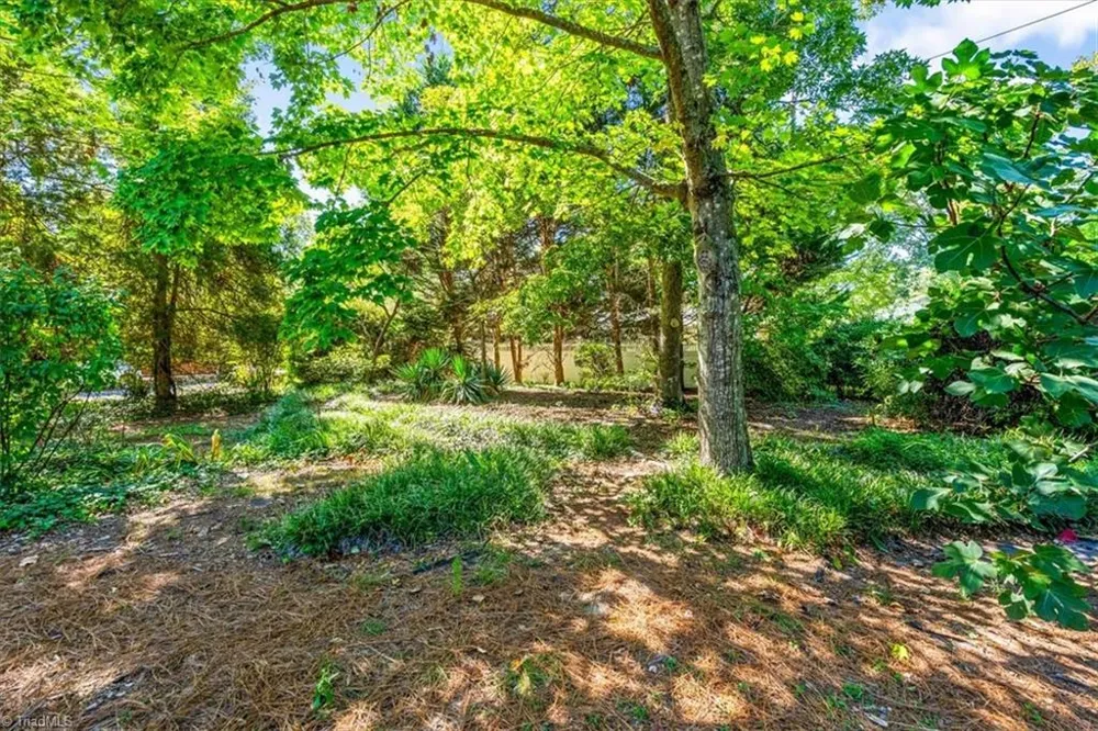 4020 Watauga Drive Greensboro, NC 27410