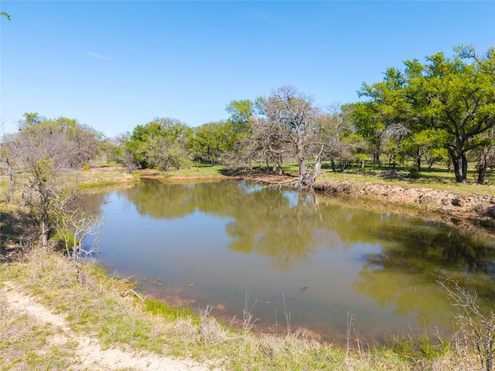 CR 186 Gorman, TX 76454