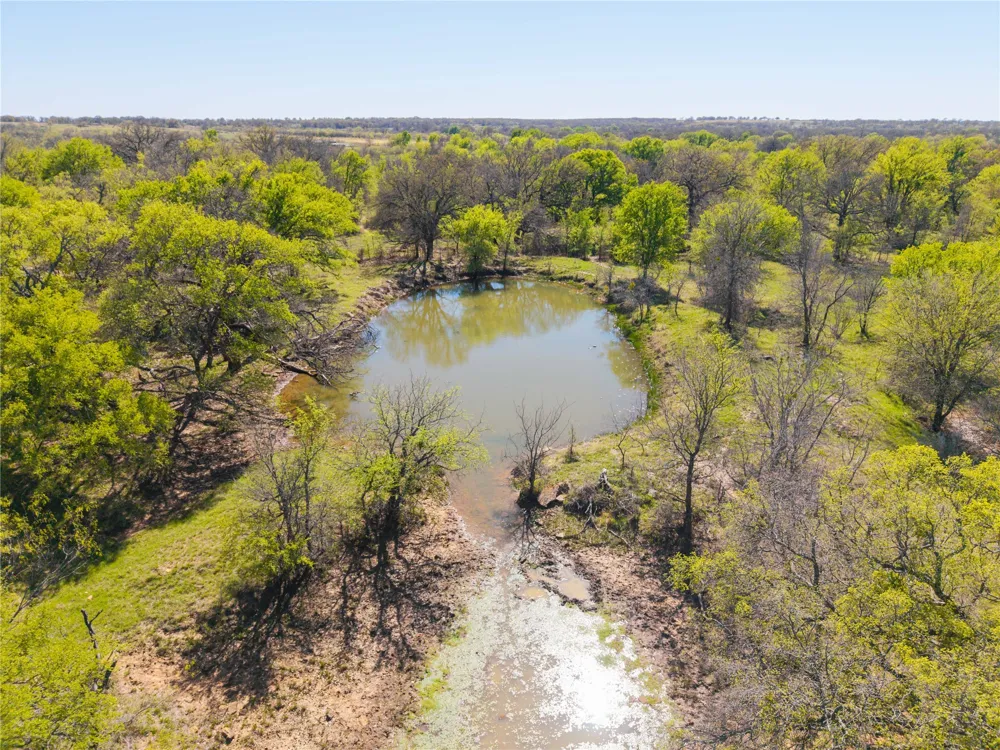 CR 186 Gorman, TX 76454