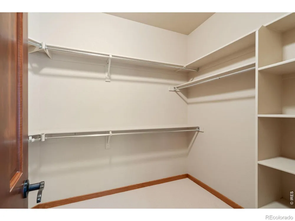 6467 Half Moon Bay Drive Windsor, CO 80550