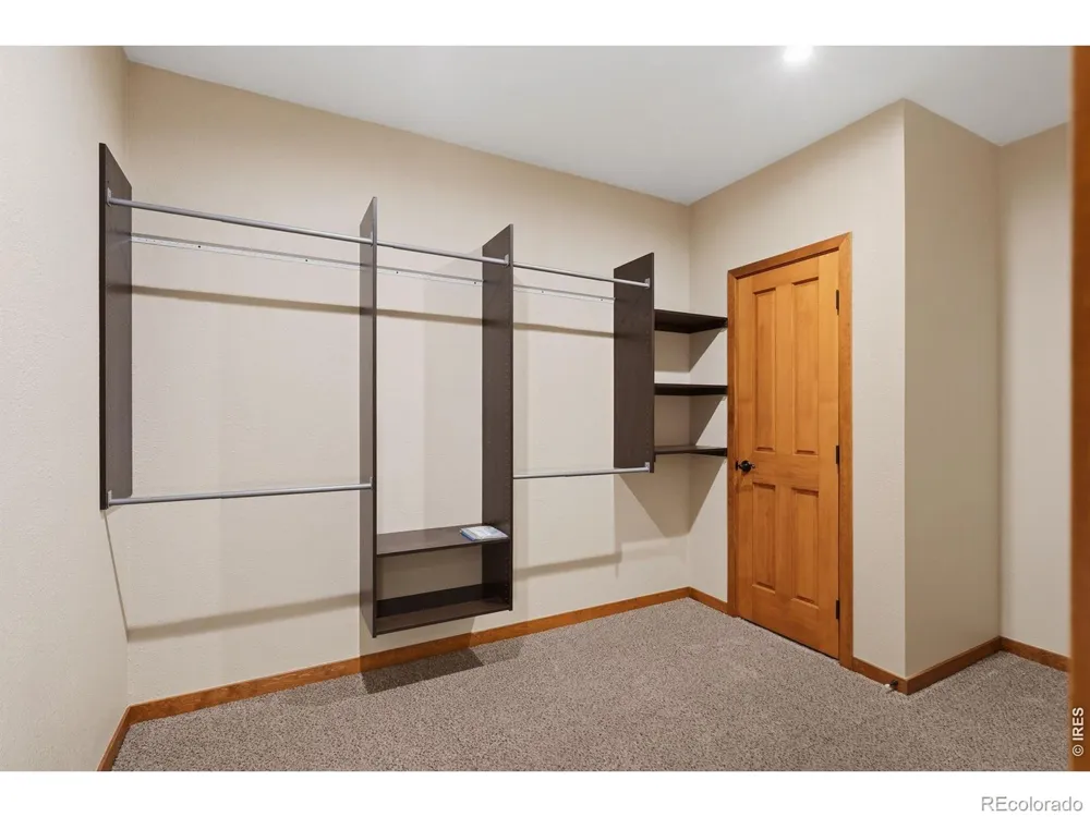 6467 Half Moon Bay Drive Windsor, CO 80550
