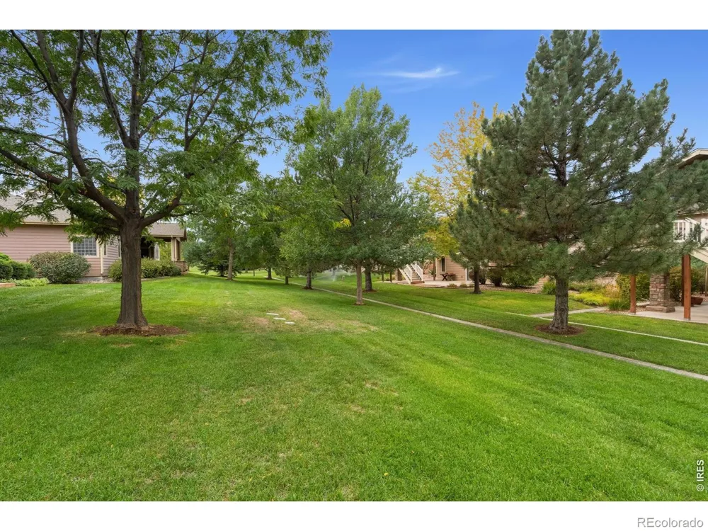 6467 Half Moon Bay Drive Windsor, CO 80550