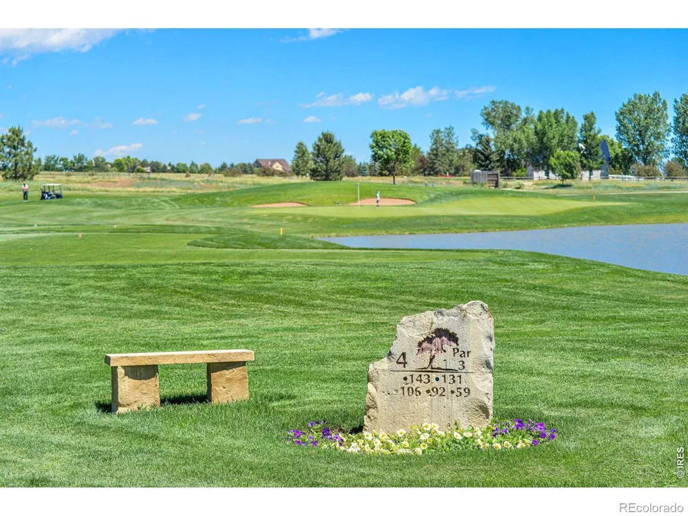 6467 Half Moon Bay Drive Windsor, CO 80550