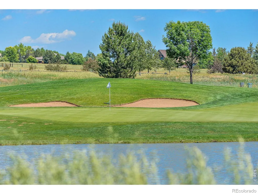 6467 Half Moon Bay Drive Windsor, CO 80550