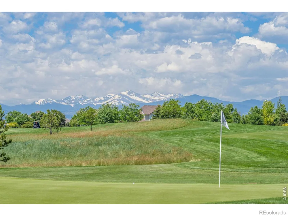 6467 Half Moon Bay Drive Windsor, CO 80550