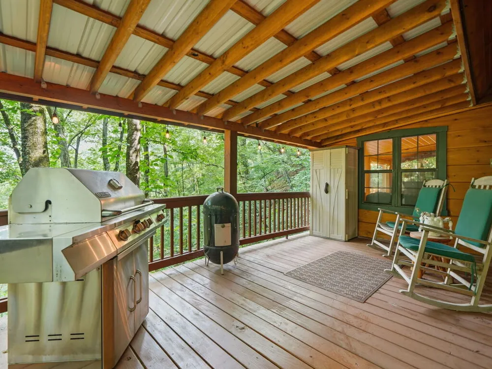 329 Laurel Ridge Drive Blue Ridge, GA 30513