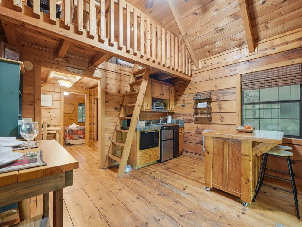 329 Laurel Ridge Drive Blue Ridge, GA 30513