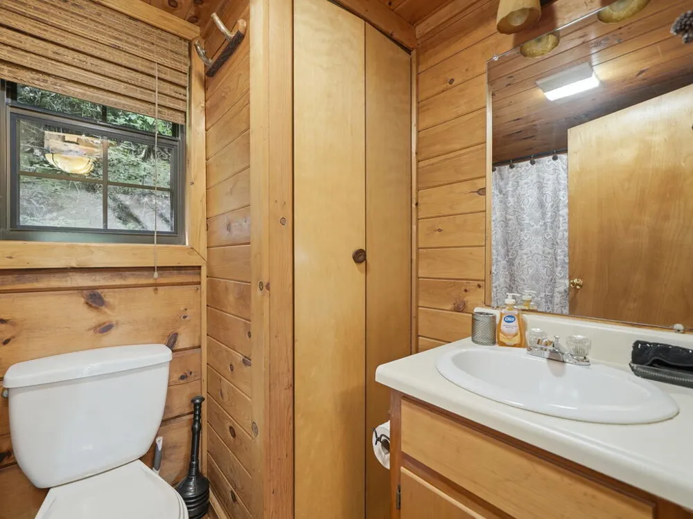 329 Laurel Ridge Drive Blue Ridge, GA 30513