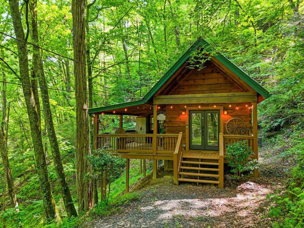 329 Laurel Ridge Drive Blue Ridge, GA 30513