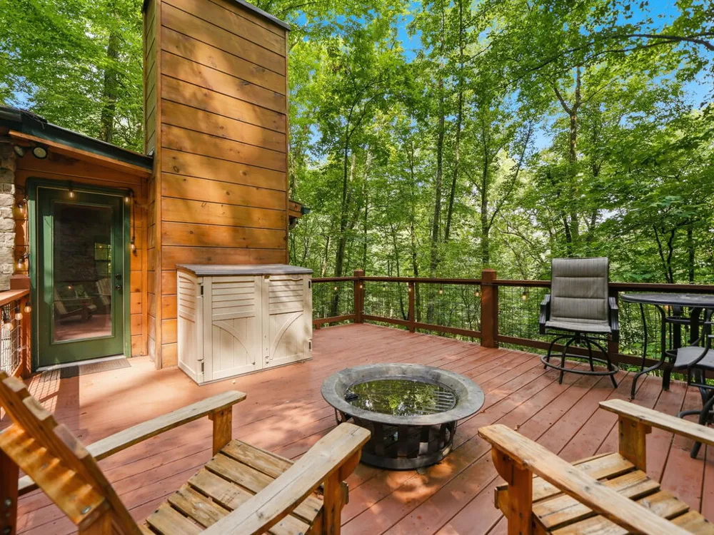 329 Laurel Ridge Drive Blue Ridge, GA 30513