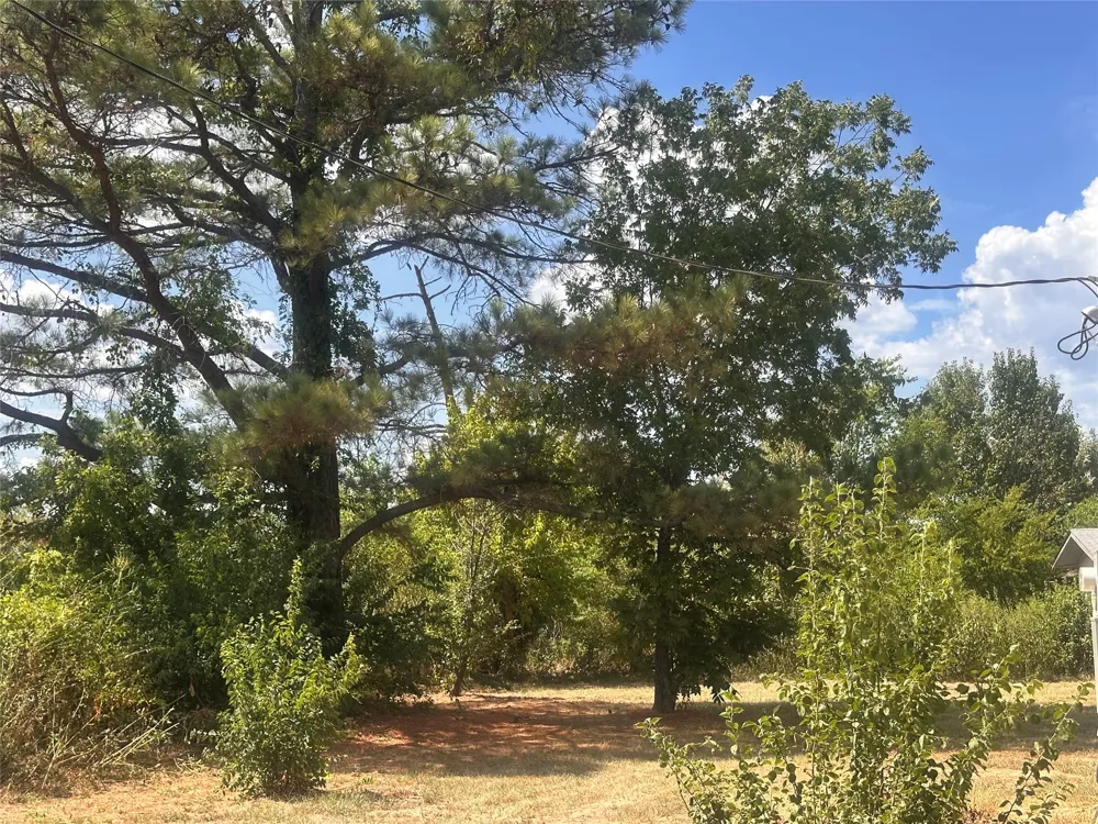 13601 Woodridge Eustace, TX 75124