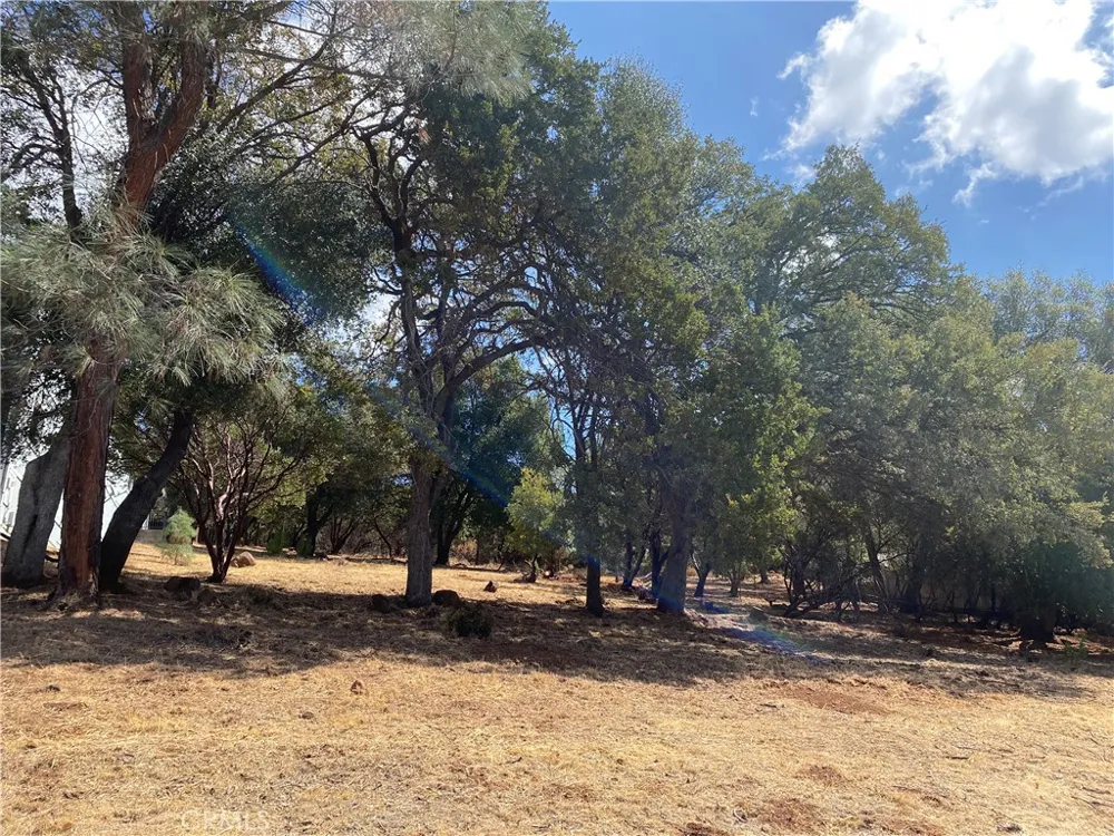 16366 Conestoga Hidden Valley Lake, CA 95467
