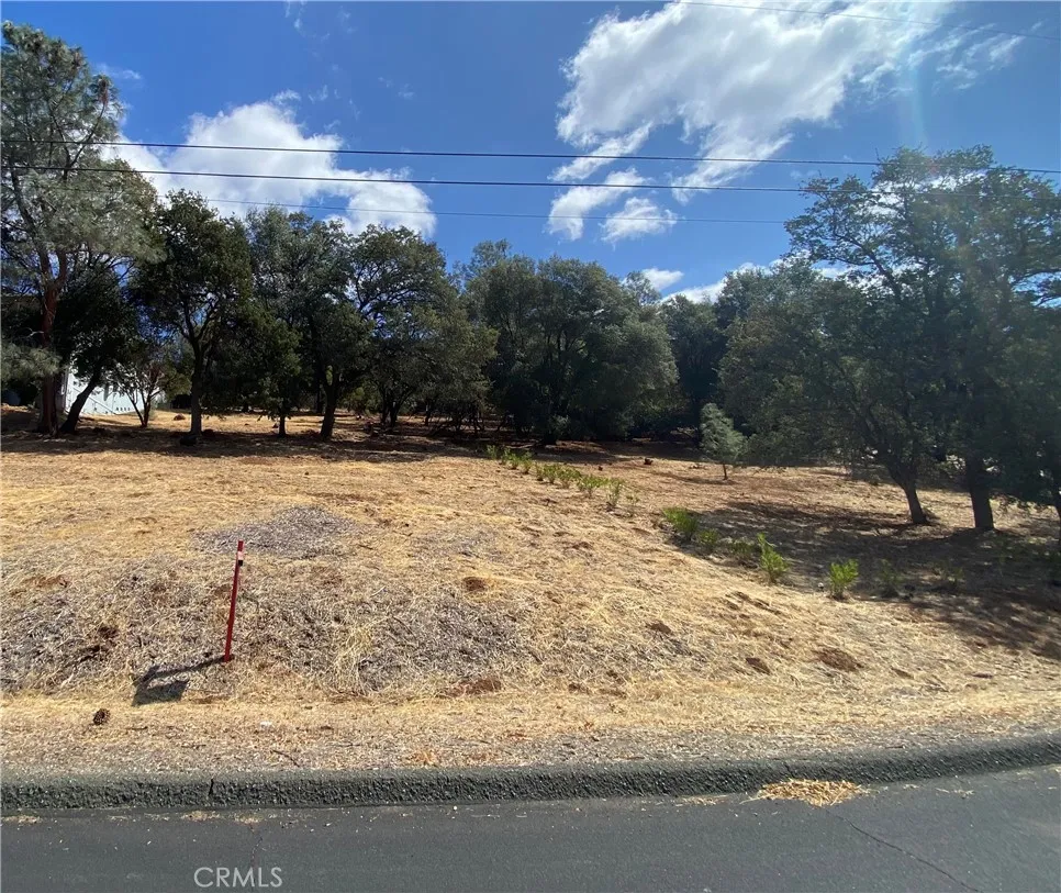 16366 Conestoga Hidden Valley Lake, CA 95467