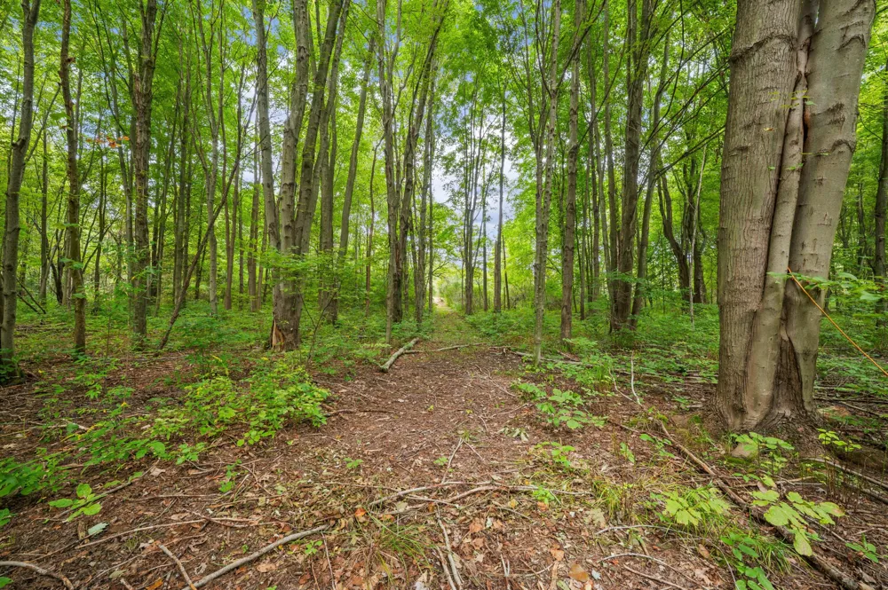 5471 Little Paw Paw Lake Road Coloma, MI 49038