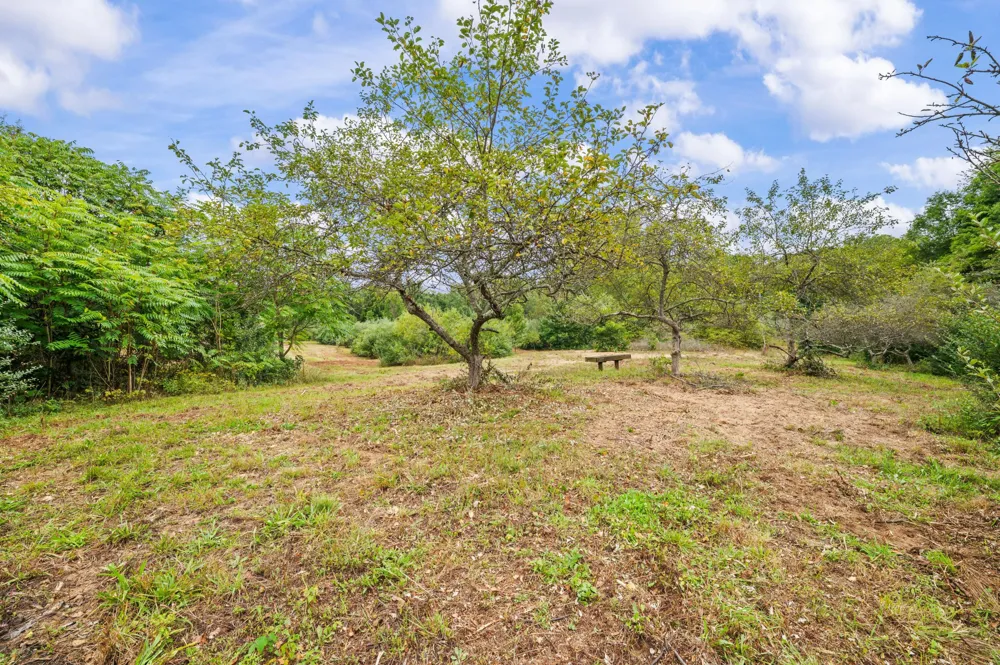 5471 Little Paw Paw Lake Road Coloma, MI 49038