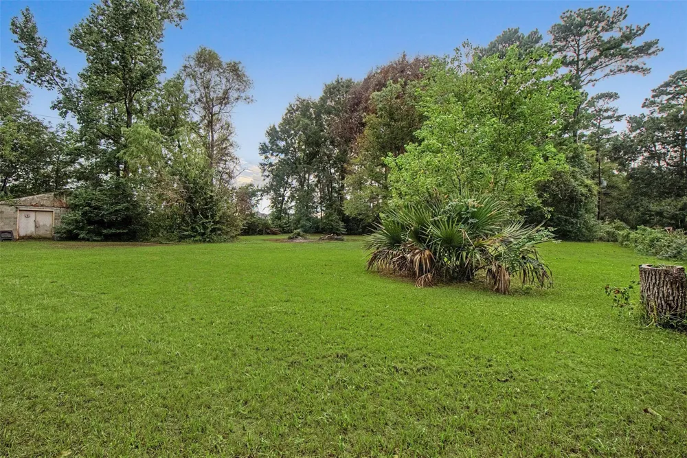 6556 Golden Oaks Drive Conroe, TX 77385