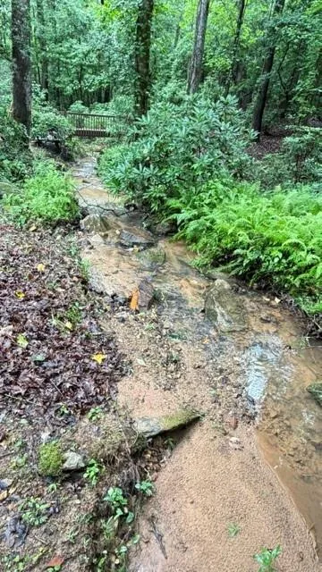 36 Mill Creek Trail Dahlonega, GA 30533