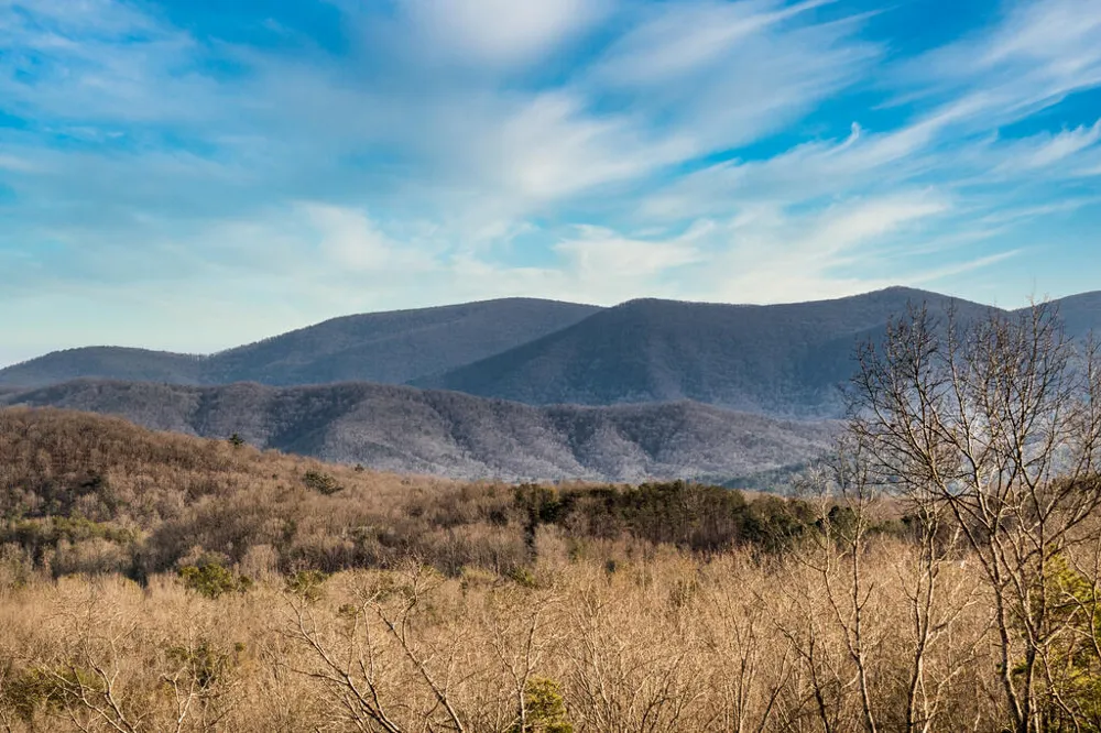 49 Chestnut Overlook Blue Ridge, GA 30513