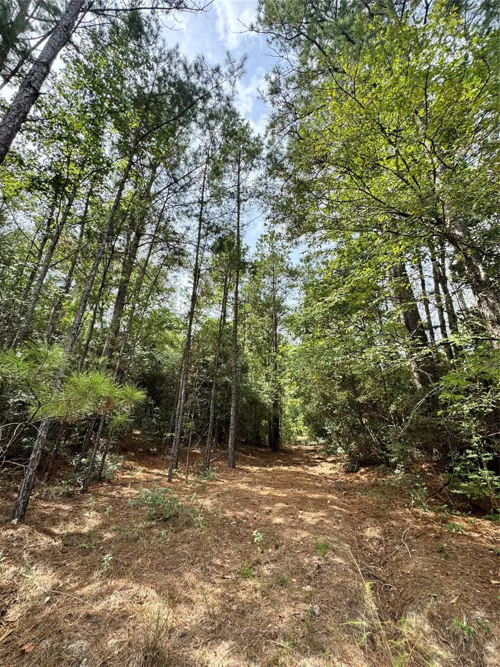 5 Falcon Court Huntsville, TX 77340