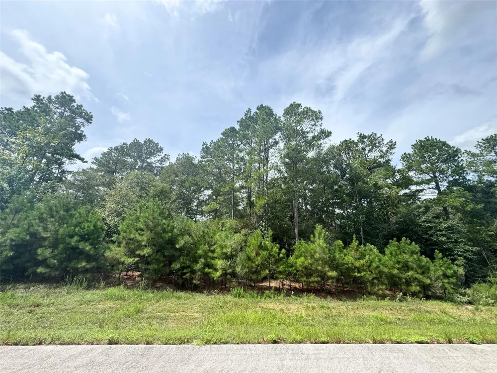 5 Falcon Court Huntsville, TX 77340
