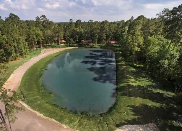 5 Falcon Court Huntsville, TX 77340