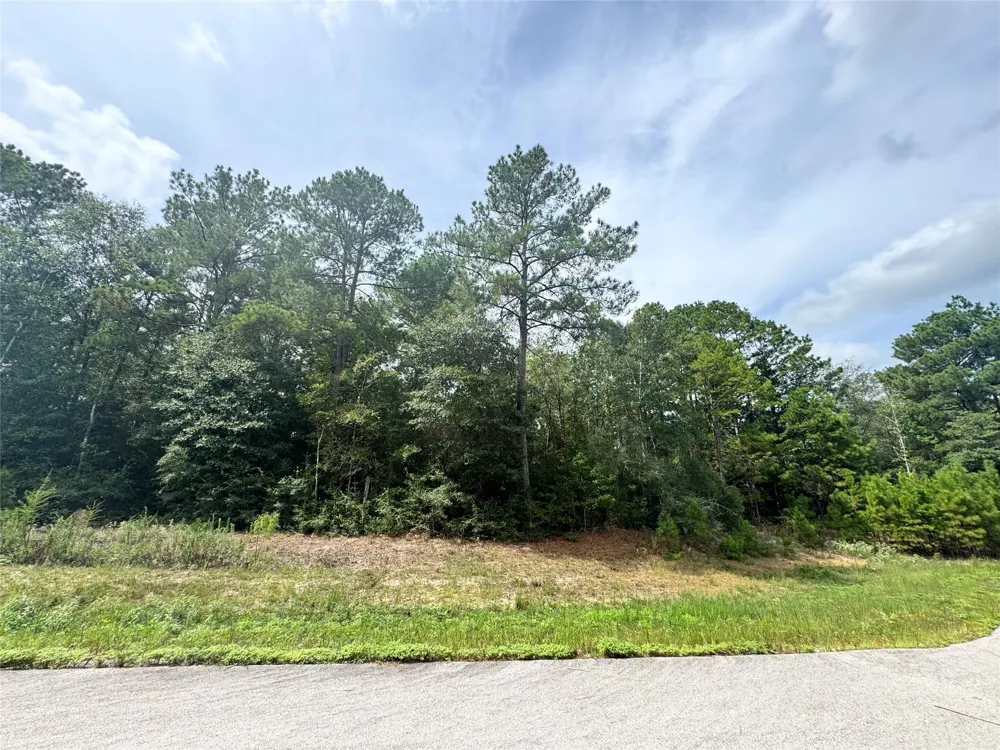 5 Falcon Court Huntsville, TX 77340