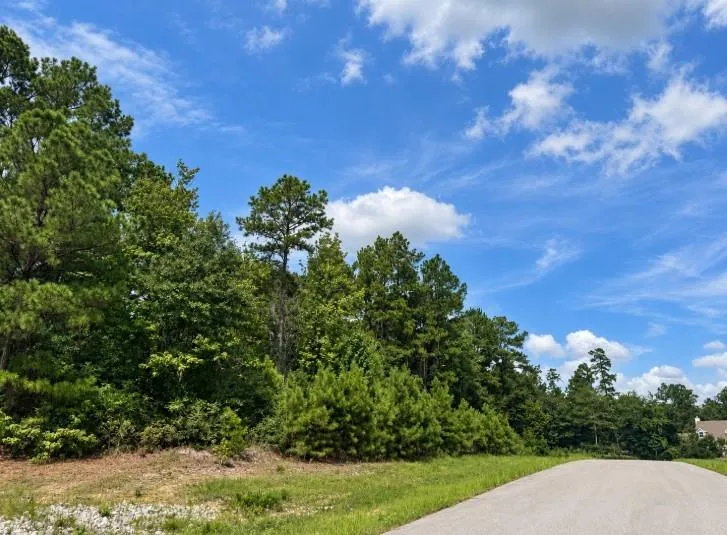 5 Falcon Court Huntsville, TX 77340