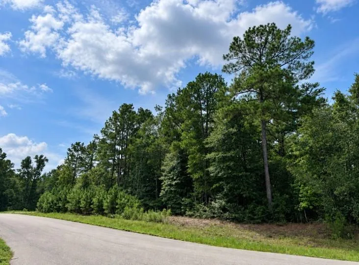 5 Falcon Court Huntsville, TX 77340