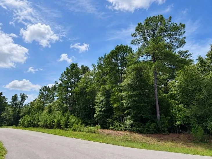 5 Falcon Court Huntsville, TX 77340