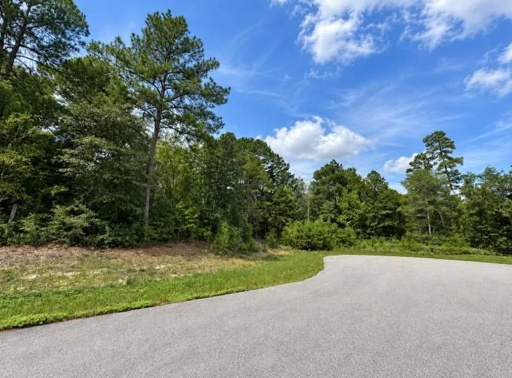 5 Falcon Court Huntsville, TX 77340