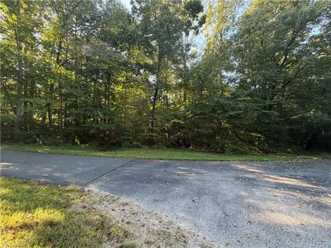 Lot 29 Cabin Cove Lane