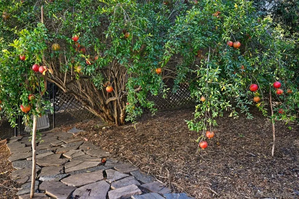 4488 La Canada Fallbrook, CA 92028