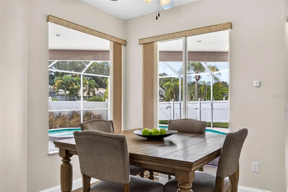 10007 VISTA POINTE DRIVE Tampa, FL 33635