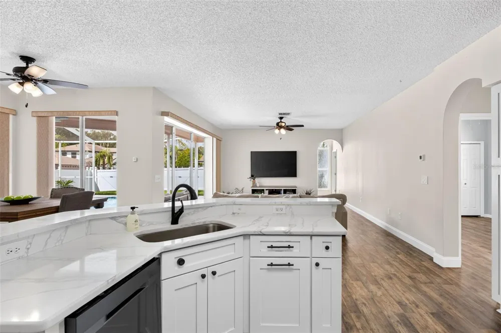10007 VISTA POINTE DRIVE Tampa, FL 33635