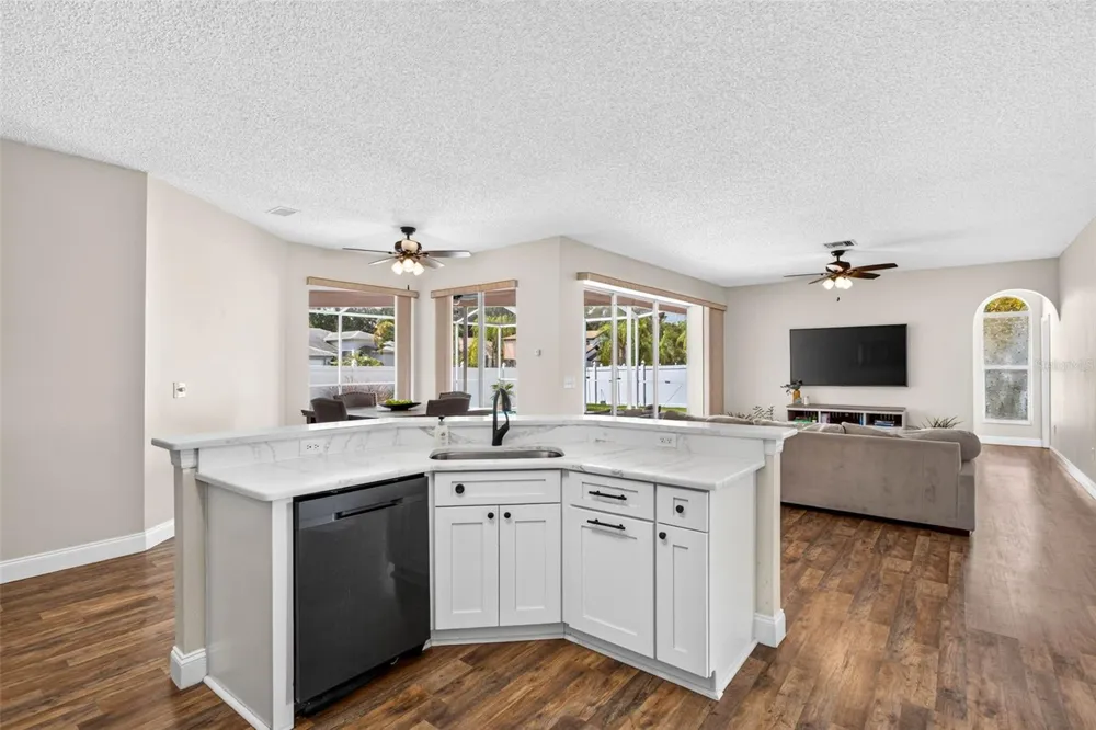 10007 VISTA POINTE DRIVE Tampa, FL 33635