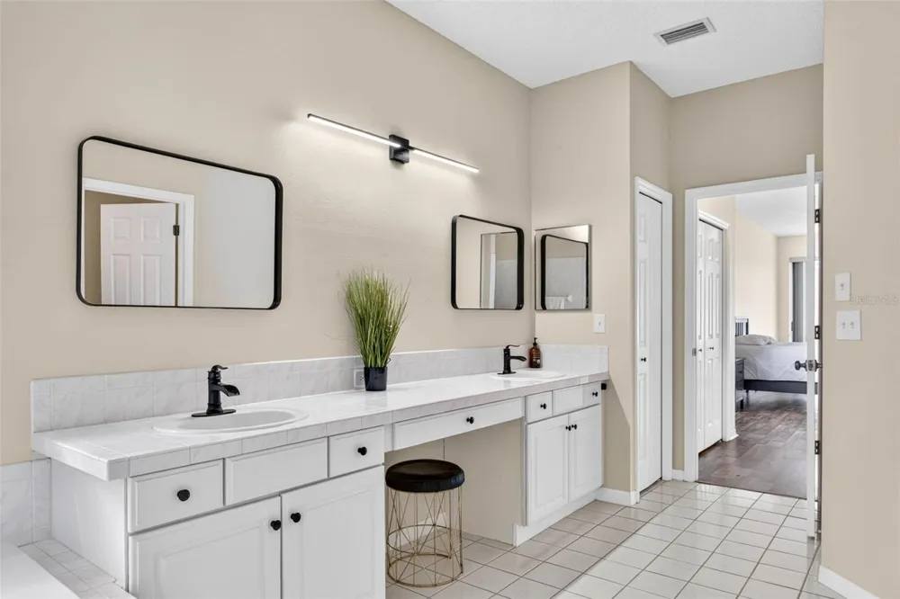 10007 VISTA POINTE DRIVE Tampa, FL 33635