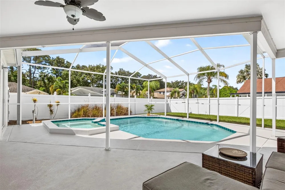 10007 VISTA POINTE DRIVE Tampa, FL 33635