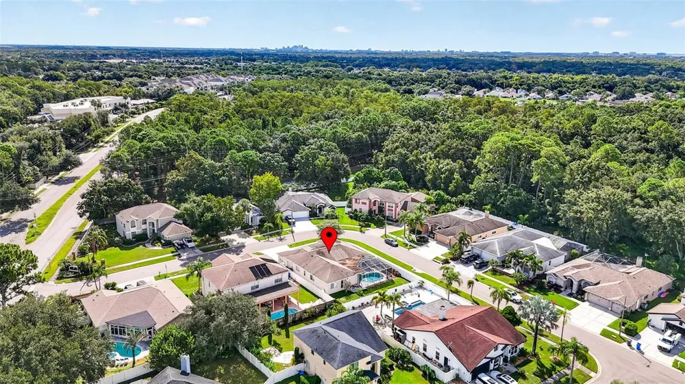 10007 VISTA POINTE DRIVE Tampa, FL 33635