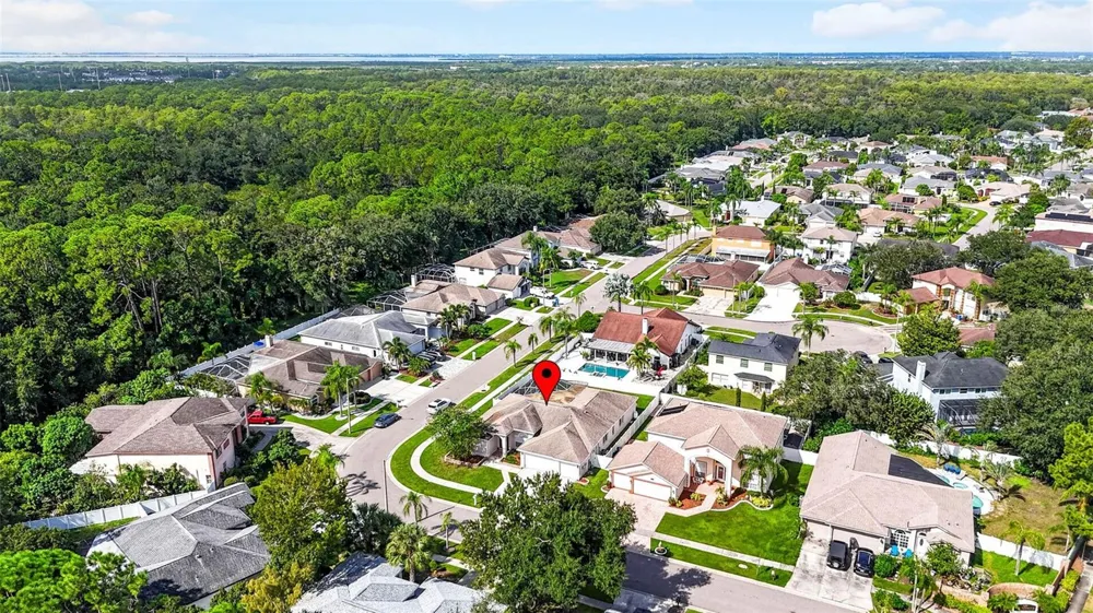 10007 VISTA POINTE DRIVE Tampa, FL 33635