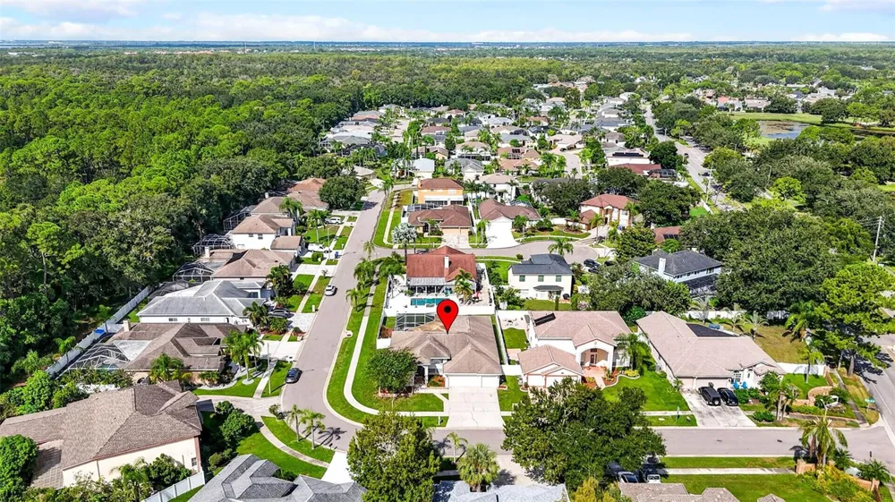 10007 VISTA POINTE DRIVE Tampa, FL 33635