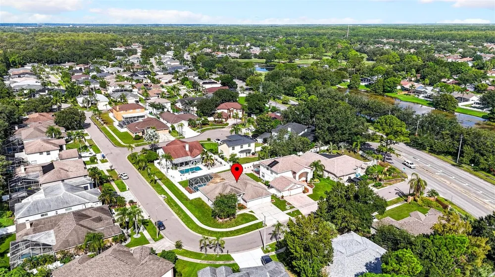 10007 VISTA POINTE DRIVE Tampa, FL 33635
